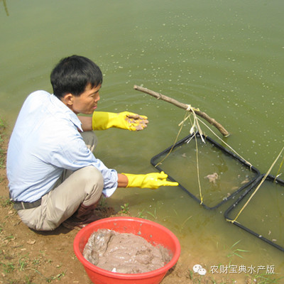 ���~���D(zhu��n)��ǰι���r�輚(x��)��